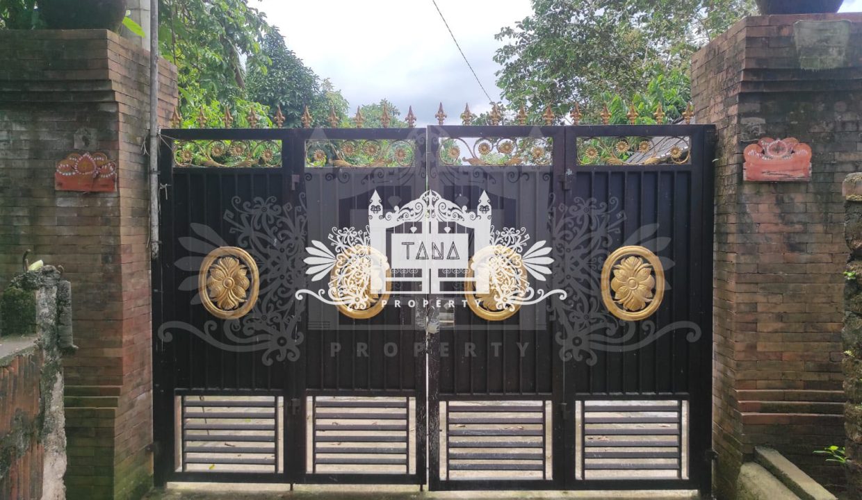 Tanah Kedungu2